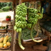 Produce Stand, Southern Sri Lanka