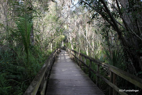 Florida Eveerglades Big Cypress Bend Boardwalk 2013 004