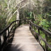 Florida Everglades Big Cypress Bend Boardwalk