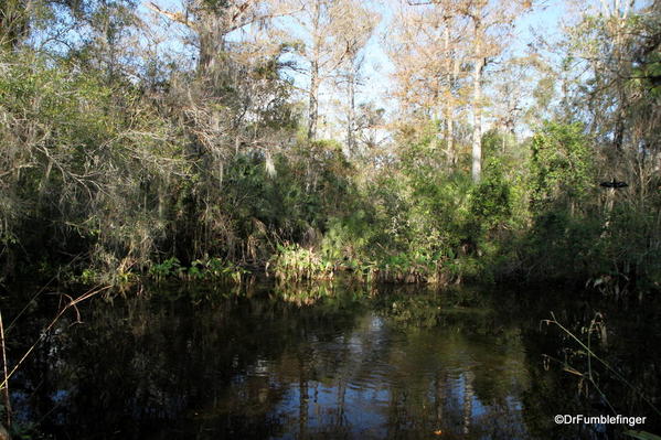 Florida Eveerglades Big Cypress Bend Boardwalk 2013 027 End swamp