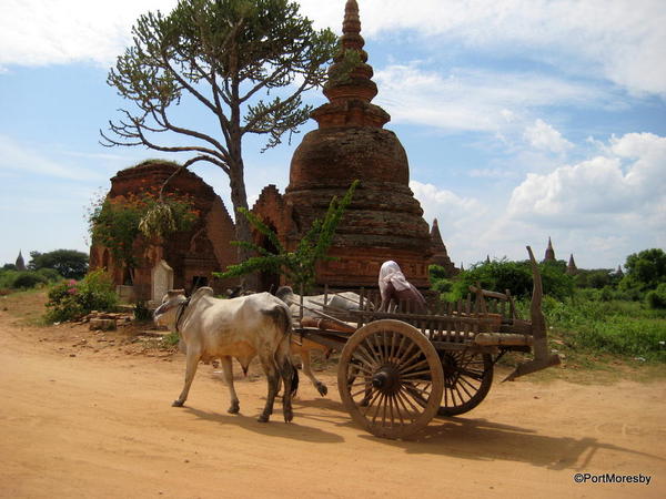 Oxcart, Bagan.