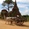 Oxcart, Bagan.