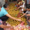 Fruit seller.