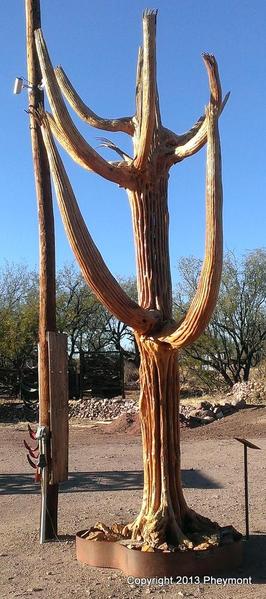 saguaro skeleton