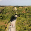 Tram tour, view from Observation Tower, Shark Valley, Everglades National Park