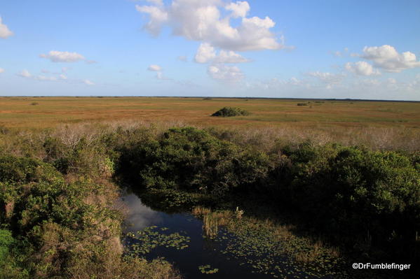 Everglades National Park, Shark Valley's "River of Grass"