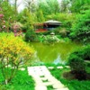 Botanic Garden- Cluj