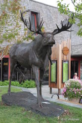 Moose statue, Sun Valley, Idaho