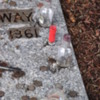 Ketchum Cemetery -- Ernest Hemingway's Grave: Shotgun shell, shot glass, small liquor bottles and notes left for Papa by his fans