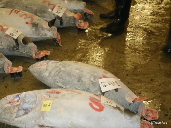 Tokyo Fish Auction and Market