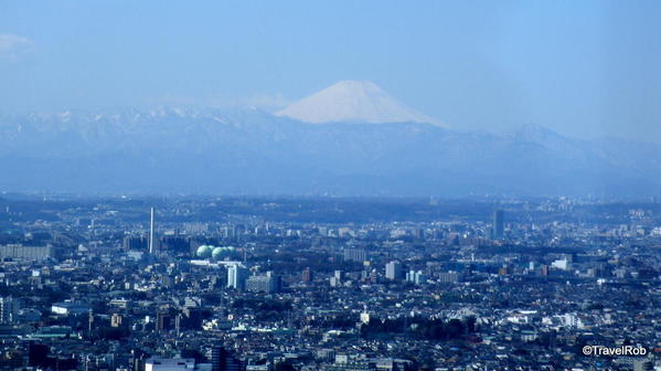 Tokyo Skyline and Mt. Fuji