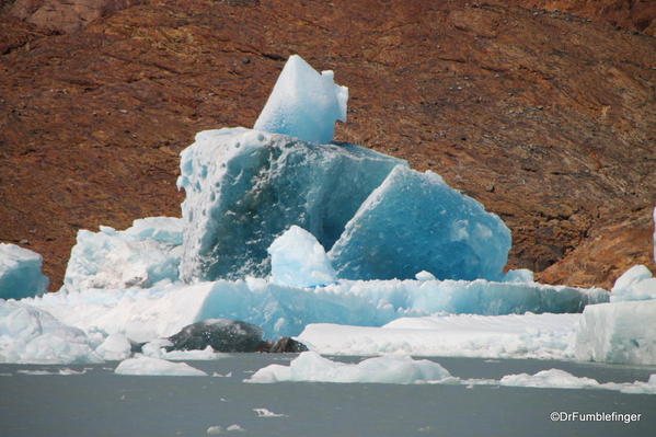 Icebergs in Viedma Lake