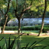 Buenos Aires, Jardin Botanico.  Greenhouse