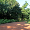 Buenos Aires, Jardin Botanico