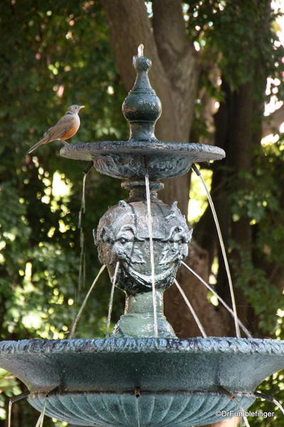 Buenos Aires, Jardin Botanico. Bird drinking at a fountain