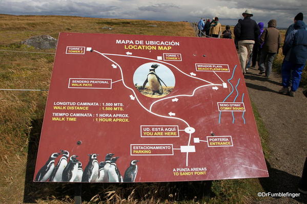 Layout of the walkway, Otway Penguin Colony