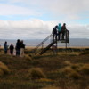 Viewing platform near the nature trail at the Otway Penguin Colony