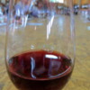Wine tasting, La Tienda de Vinos, El Calafate