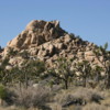 Joshua trees and some unusual rock formations,  Joshua Tree National Park