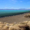 El Calafate, Argentina.  Laguna Nimez Nature Preserve