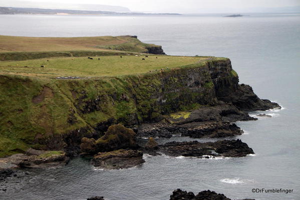 Giant's Causeway viewed from Hilltop