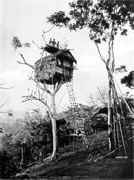 Picturesque_New_Guinea_Plate_XIV_-_Tree_House,_Kolari_Village