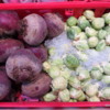 Beets and brussel sprouts, the Forks Market, Winnipeg