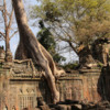 Angkor Temples -8180
