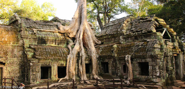 Angkor Temples -8225