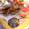 Thai street food-7: Horseshoe crabs - so prehistoric
