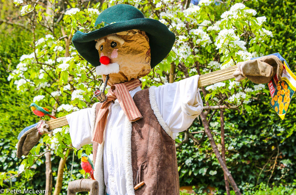 Chalford Scarecrows-15.
