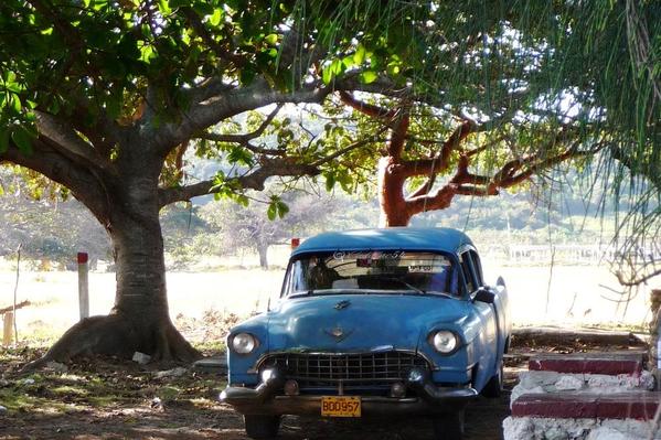 One of countless vintage American cars found in Cuba.