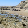 Tidepools, Crystal Cove State Park
