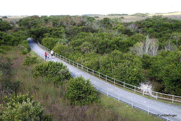 Trail leading to the Shark Valley Observation Tower
