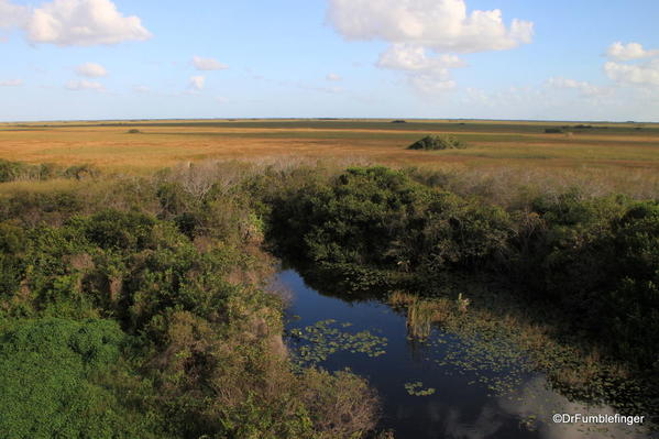 View of the Everglades from Trail leading to the Shark Valley Observation Tower