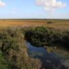 View of the Everglades from the Shark Valley Observation Tower