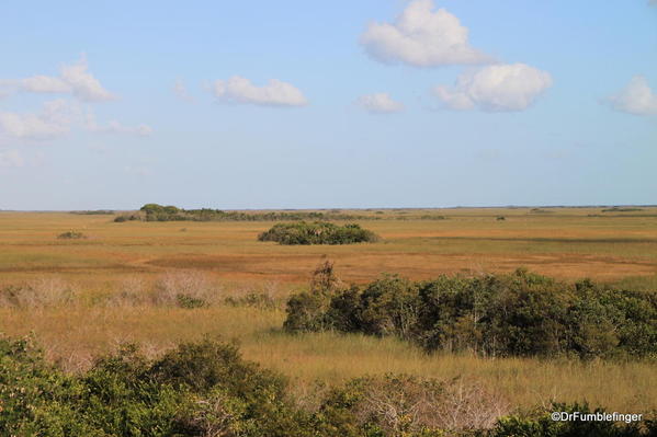 View of the Everglades from Trail leading to the Shark Valley Observation Tower