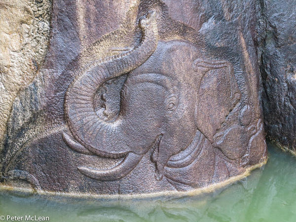 31 - SRI L - 3rd Century BC Rock Carving of Smiling Elephant Anuradhapura, Sri Lanka-3332