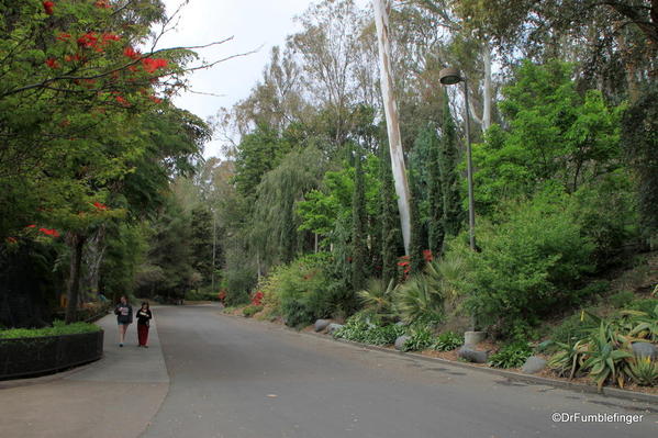 San Diego Zoo -- one of the many lovely lanes on which to walk