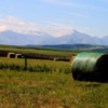Southern Alberta -- the transition between the great plains and Rocky Mountains. Large bales of hay had just been cut