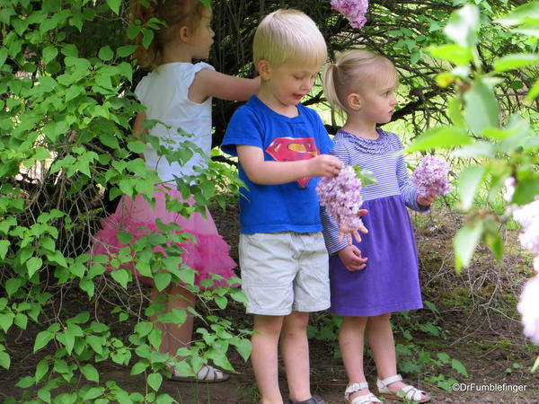 Children enjoying the Spokane Lilac Garden