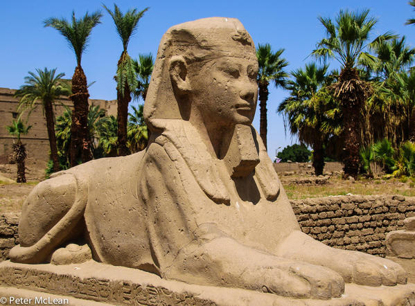 Egypt -0559