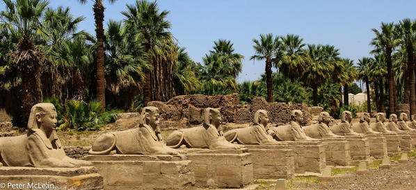 Egypt -0560