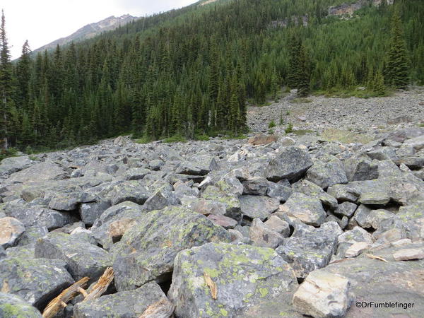 Rockslide near Boom Lake, Banff National Park