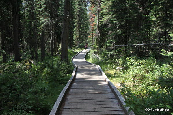 Boardwalk, Boom Lake trail, Banff National Park