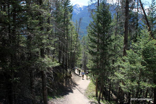 Tunnel Mountain trail, Banff National Park