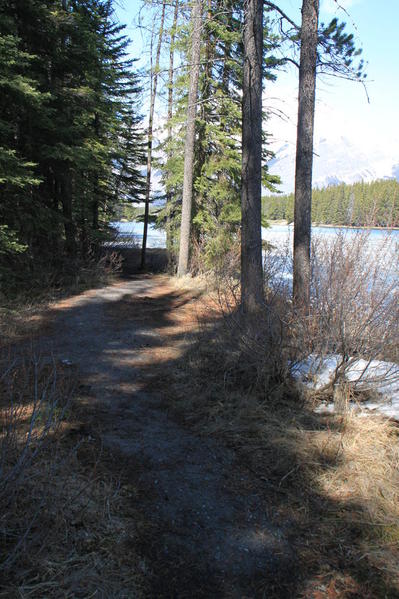 Johnson Lake trail