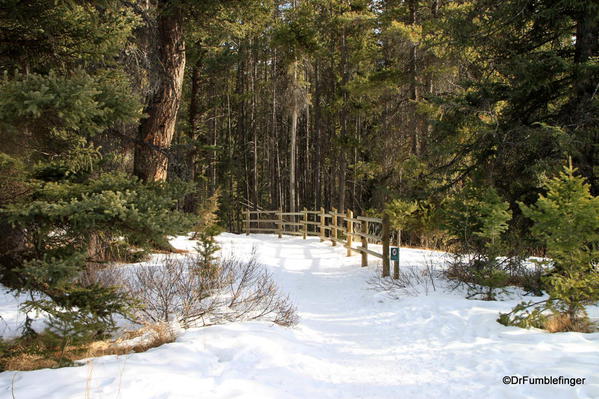 Johnson Lake Trail in the Winter