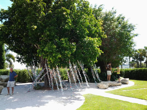 Wish Tree @ Dali Museum