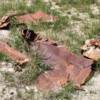 Old mining debris adjoining the path descending into Horseshoe Canyon